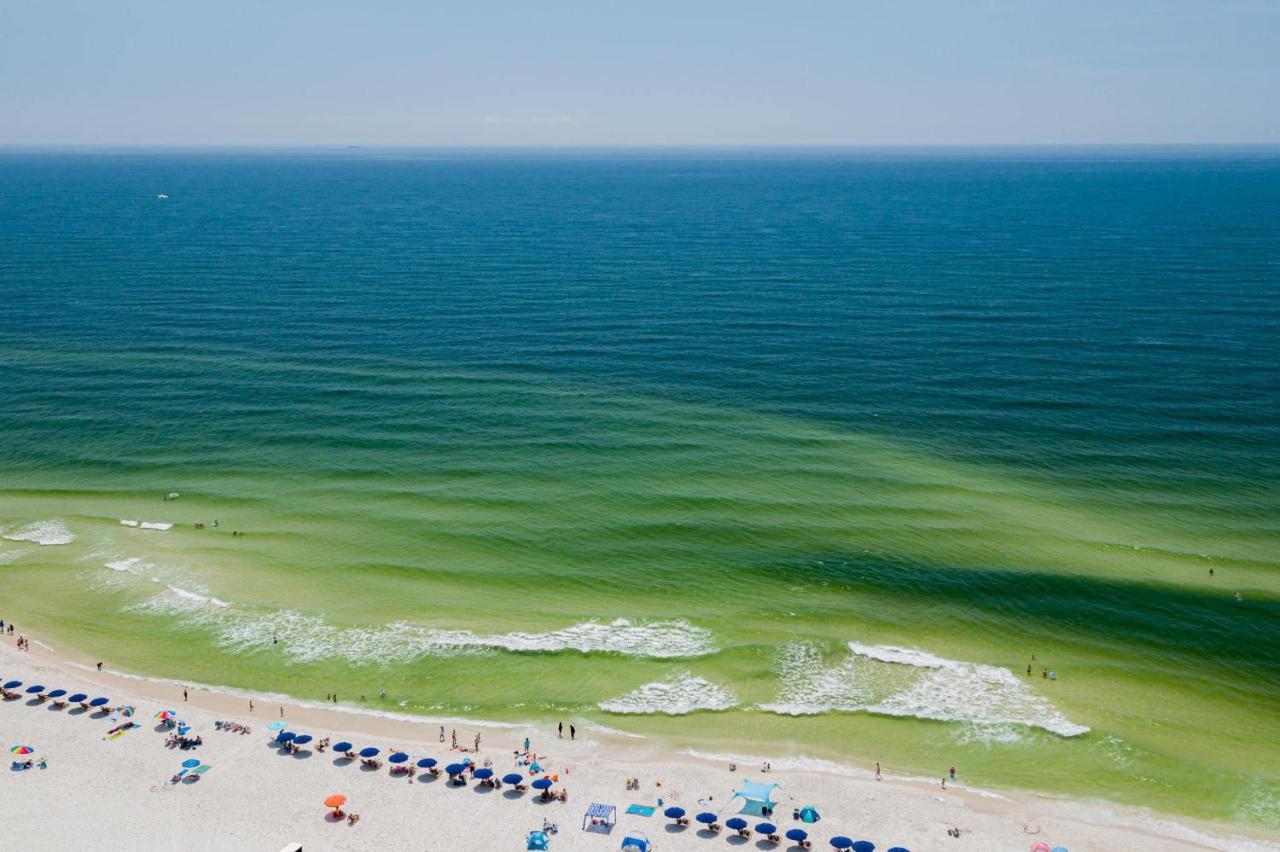 Apartmán Sunset Spring Break Special ! Gulf Shores Exteriér fotografie